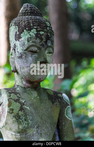 Buddha-Kopf im Wat Tempel Chiangmai Thai Stockfoto