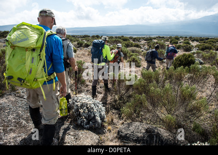 KILIMANDSCHARO, Tansania – Eine Gruppe von Kletterern wandert in Richtung des Gipfels des Kilimandscharo, der in der Entfernung rechts zu sehen ist. Stockfoto