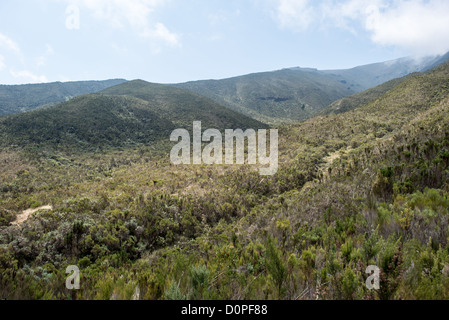MT KILIMANJARO, Tansania - Die Landschaft der Heide Zone auf dem Kilimandscharo Lemosho Trail. Stockfoto