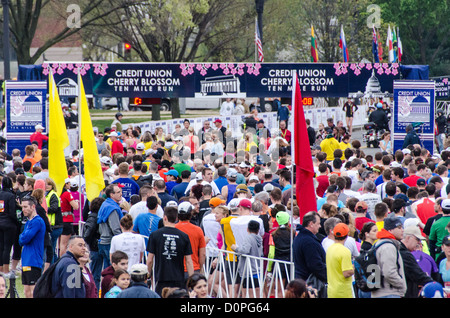 Der Kundenansturm der Läufer an der Startlinie zum Jahresbeginn 2012 Cherry Blossom 10-Miler, 40. Ablauf des Rennens, die jeden Frühling in Washington, D.C. zusammen mit der National Cherry Blossom Festival ausgeführt wird. Der Kurs beginnt in der Nähe des Washington Monument, Köpfe über Memorial Bridge und zurück, steigt unter dem Kennedy Center, um das Tidal Basin und vorbei an dem Jefferson Memorial und führt dann eine Schleife um Hains Point zurück ins Ziel in der Nähe des Washington Monument. Stockfoto