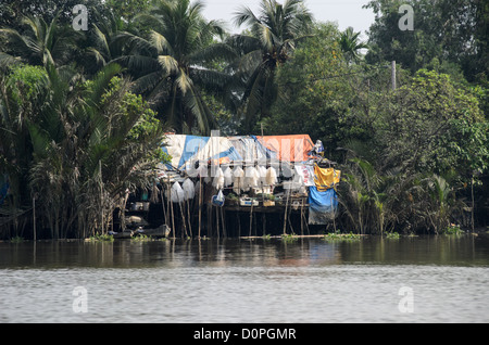 Saigon-Fluss-Pfeilerhaus Bunte Planen Palmen Ho-Chi-Minh-Stadt Vietnam | HO-CHI-MINH-STADT, Vietnam — Ein provisorisches Pfahlhaus aus Planen und Wellblech steht zwischen Nipa-Palmen am Ufer des Saigon-Flusses. Die Nipa-Palme, eine Mangrovenart, die an die brackigen Gezeitenzonen des Flusses angepasst ist, lieferte einst Stroh für traditionelle Delta-Heimstätten, obwohl synthetische Folien heute diese informellen Flussuferbehausungen dominieren. Stockfoto