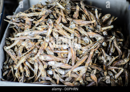 PHONSAVAN, Laos - Kleine getrocknetem und gesalzenem Fisch zum Verkauf im großen und belebten Morgen Markt in Phonsavan im Nordosten von Laos. Die Menschen in der Region sind überwiegend der Hmong Ethnizität. Stockfoto