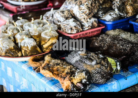 PHONSAVAN, Laos - Bambus, Ratten und Vögel zum Verkauf im großen und belebten Morgen Markt in Phonsavan im Nordosten von Laos, die Hauptstadt der Provinz Xieng Khouang und eine zentrale Stadt in der Ebene der Tonkrüge. Die Menschen in der Region sind überwiegend der Hmong Ethnizität. Stockfoto