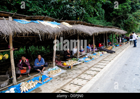 LUANG NAMTHA, Laos - ein Markt, wo Verkäufer Lebensmittel und andere Elemente in der Provinz Luang Namtha in Nordlaos verkaufen. Stockfoto