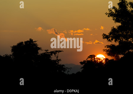 LUANG NAMTHA, Laos - die Sonne am Horizont die Silhouette der Vergangenheit Bäume in Luang Namtha Provinz im Norden von Laos. Stockfoto