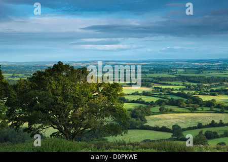 Die Blackmore Vale von Bulbarrow Hill, Dorset, England, UK Stockfoto