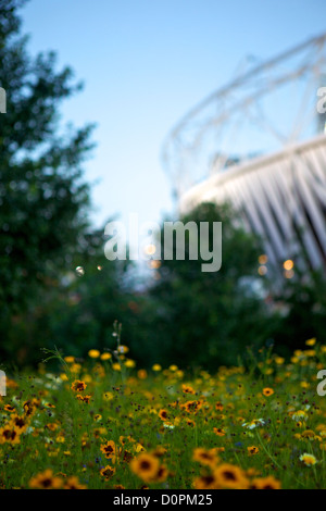 Olympiastadion und Blumen an der Dämmerung, London 2012 Olympische Stratford, East London, UK Stockfoto