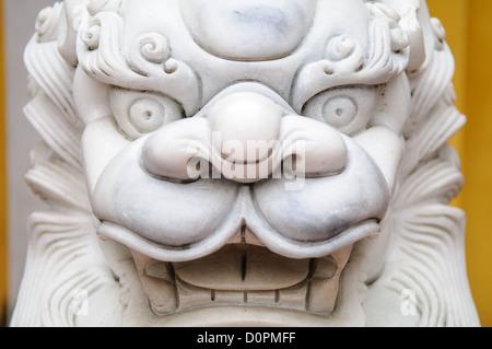 Löwenstatue der Ein-Säulen-Pagode Hanoi Vietnam | HANOI, Vietnam — Nahaufnahme eines geschnitzten weißen Marmorwächters am Tor der Ein-Säulen-Pagode zeigt die typische Bildhauerkunst von Tempelschutzstatuen im Bezirk Ba Dinh. Solche Löwen bewachen traditionell die Eingänge von buddhistischen Tempeln paarweise und symbolisieren den Schutz des heiligen Raums, anstatt ein bestimmtes historisches Tier darzustellen. Stockfoto