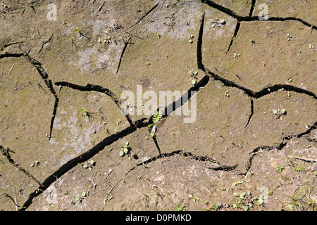 trockenes land Stockfoto