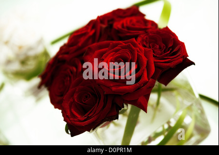 schöne rote Rosen in einer Glasvase auf Tisch Stockfoto