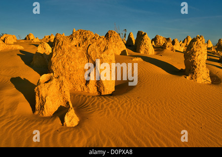 Abendlicht auf den Pinnacles im Nambung Nationalpark. Stockfoto