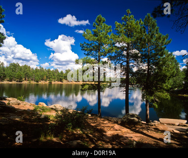 Woods Canyon Lake auf die Mogollon Rim. Apache-Sitgreaves National Forest, Arizona. USA Stockfoto