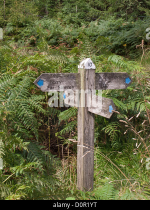 Wegweiser, die Fähre Nr. 10 auf dem Fußweg zwischen Hawkshead und weit Sawrey im Lake District England UK Stockfoto