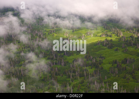 Antenne am Cook Inlet, Alaska. Stockfoto