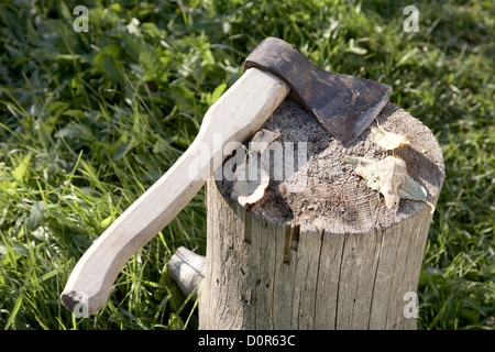 Axt mit Pack für Kabine Stockfoto