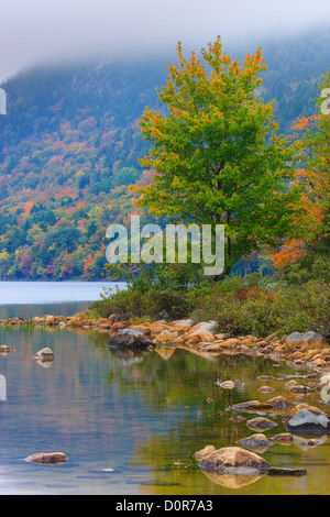 Mit Blick auf Jordan Teich im Herbst Farben im Acadia National Park, Maine, USA. Stockfoto