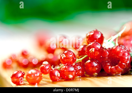 Johannisbeeren Stockfoto