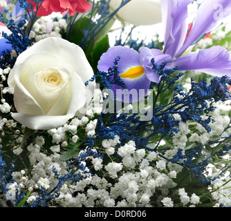 Bunte Blumen, Nahaufnahme für Hintergrund Stockfoto