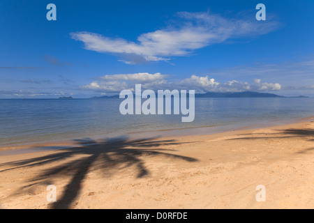 Palm Tree Schatten am Strand Stockfoto