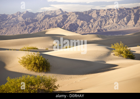 Death Valley Sandscape Stockfoto
