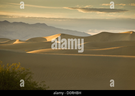 Death Valley Dünen Sandscape Stockfoto