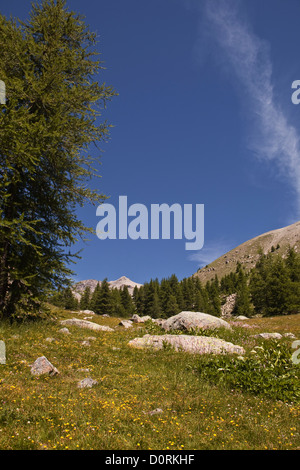 Die Szenerie des Lac Allos in den französischen Alpen. Stockfoto