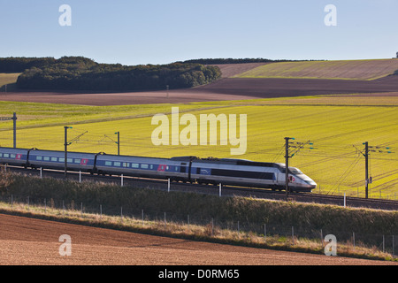 Ein TGV beschleunigt durch die Burgunder Landschaft auf der Strecke zwischen Paris und dem Südosten von Frankreich. Stockfoto