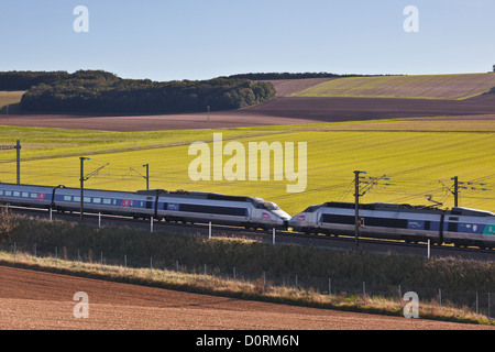 Ein TGV beschleunigt durch die Burgunder Landschaft auf der Strecke zwischen Paris und dem Südosten von Frankreich. Stockfoto