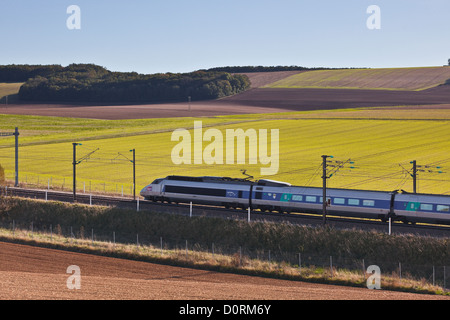 Ein TGV beschleunigt durch die Burgunder Landschaft auf der Strecke zwischen Paris und dem Südosten von Frankreich. Stockfoto