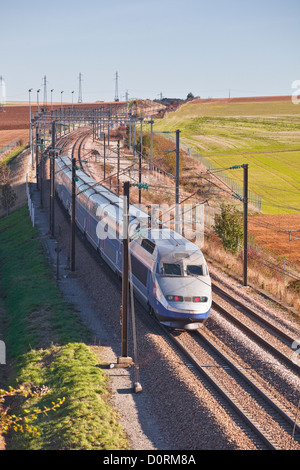 Ein TGV beschleunigt durch die Burgunder Landschaft auf der Strecke zwischen Paris und dem Südosten von Frankreich. Stockfoto