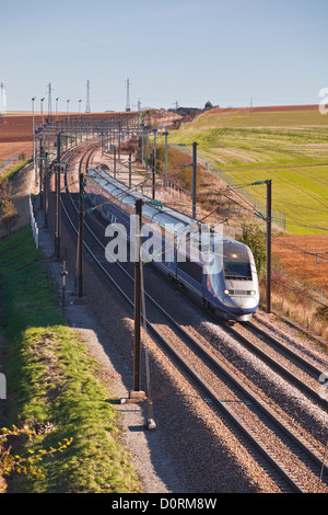 Ein TGV beschleunigt durch die Burgunder Landschaft auf der Strecke zwischen Paris und dem Südosten von Frankreich. Stockfoto