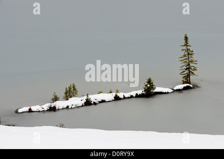 Eine Kiefer auf einer kleinen Insel nahe der Küste von zwei Jack Lake, Banff Nationalpark, Alberta, Kanada Stockfoto