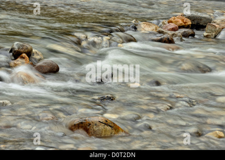 Felsen und Stromschnellen in Mosquito Creek, Banff Nationalpark, Alberta, Kanada Stockfoto