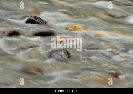 Felsen und Stromschnellen in Mosquito Creek, Banff Nationalpark, Alberta, Kanada Stockfoto