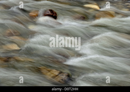 Felsen und Stromschnellen in Mosquito Creek, Banff Nationalpark, Alberta, Kanada Stockfoto