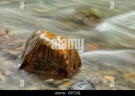 Felsen und Stromschnellen in Mosquito Creek, Banff Nationalpark, Alberta, Kanada Stockfoto