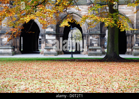 Der Osten Viereck im Herbst auf dem Campus der University of Glasgow am Gilmorehill in Glasgow, Schottland Stockfoto