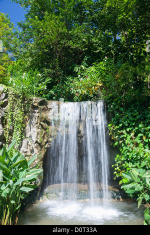 Asien, Singapur, botanischen Gärten, botanische Gärten, Singapore Botanic Gardens, Singapur Botanischer Garten, Garten, Gärten, Wa Stockfoto