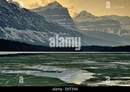 Wasservögel Untersee mit schmelzen Eis und Berg Reflexionen, Banff Nationalpark, Alberta, Kanada Stockfoto