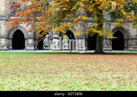 Der Osten Viereck im Herbst auf dem Campus der University of Glasgow am Gilmorehill in Glasgow, Schottland Stockfoto