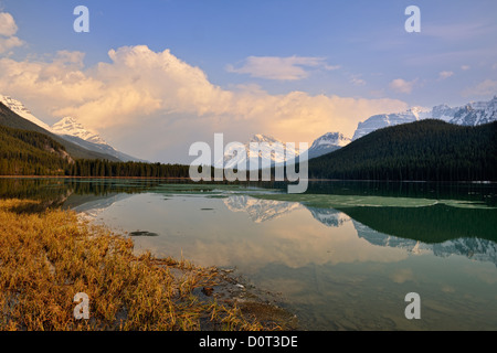 Wasservögel Untersee mit schmelzen Eis und Berg Reflexionen, Banff Nationalpark, Alberta, Kanada Stockfoto