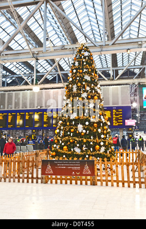Weihnachtsbaum in Glasgow Central Station, Scotland, UK Stockfoto