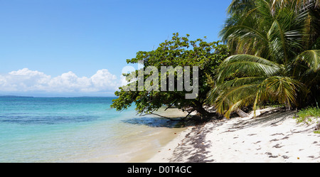 Panorama am Strand mit ruhiger See und wunderschöne vegetation Stockfoto