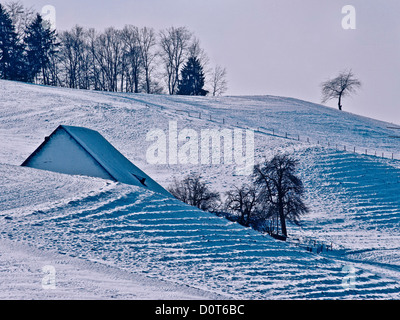 Bauernhaus, Bauernhof, Dach, Emmental, Haus, Haus, Hof, Hof, Hüellandschaft, Kanton Bern, Landschaft, Rüegsbach, Schnee, Schweiz, w Stockfoto