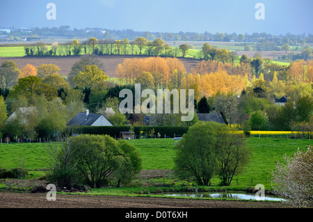 Ackerland im Norden der Mayenne im Frühjahr, Wiesen getrennt durch Hecken, freistehende Häuser (Mayenne, Pays de la Loire, Frankreich, Europa). Stockfoto