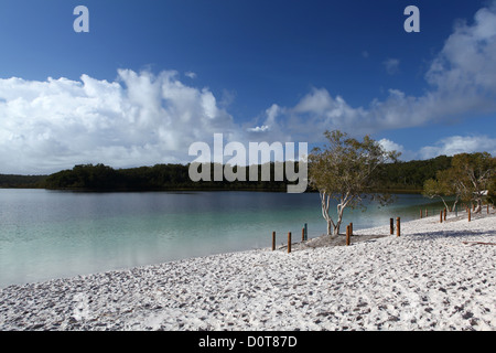 Lake McKenzie, See, Morgen, Wasser, Strand, Küste, weiß, Sand, Türkis, glasklar, Erholung, Tourismus, Ökotourismus, sand isl Stockfoto