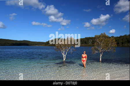 Lake McKenzie, See, Wasser, Strand, Küste, weiß, Sand, Türkis, glasklar, Erholung, Tourismus, Ökotourismus, sand, Insel, isla Lake McKenzie, See, Wasser, Strand, Küste, weiß, Sand, Türkis, glasklar, Erholung, Tourismus, Ökotourismus, sand, Insel, isla