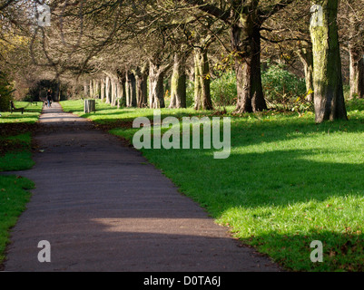 Von Bäumen gesäumten Fußweg durch Coleridge Spielgelände öffentlicher Park, Cambridge, UK Stockfoto