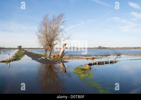 Überflutete Straßen auf den Somerset Levels, 2012 Überschwemmungen Stockfoto