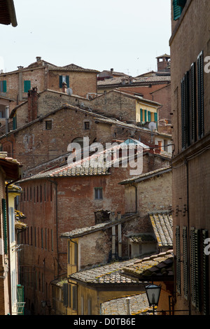 auf der alten Stadt von Siena, Italien Stockfoto